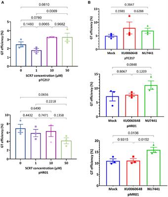 Improvement of the LbCas12a-crRNA System for Efficient Gene Targeting in Tomato